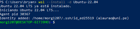 Descripción de la imagen